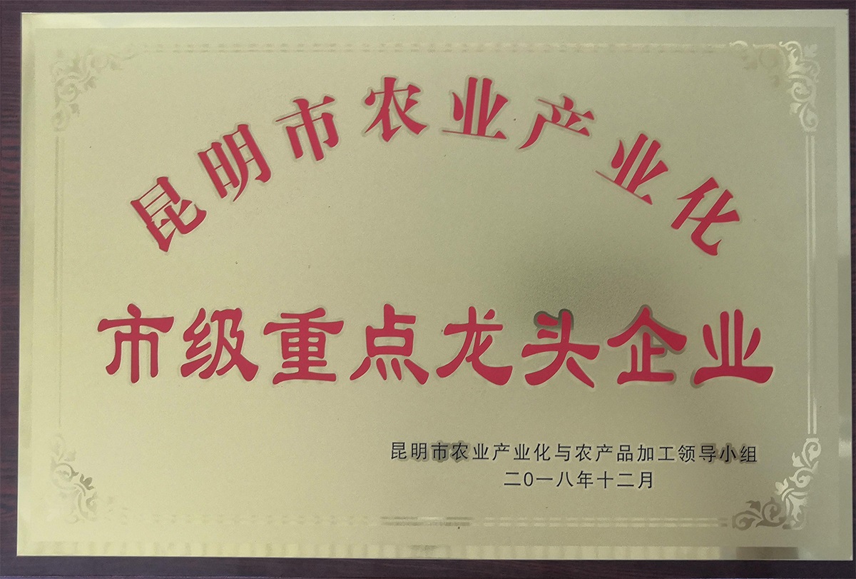 市級重點(diǎn)龍頭企業(yè)1.jpg